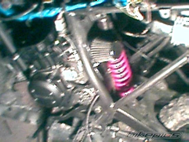 Photo 100665
