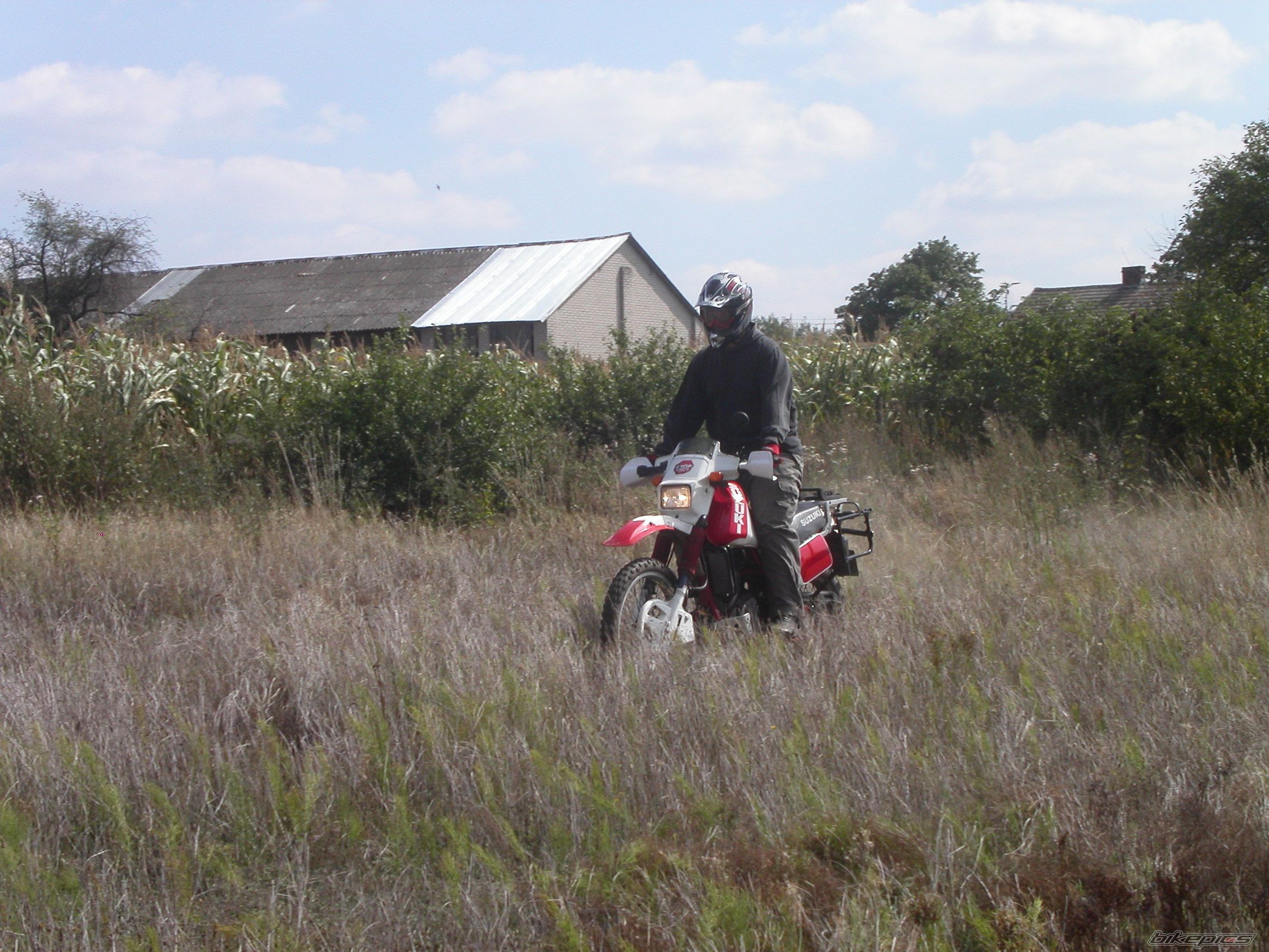 Photo 1006710
