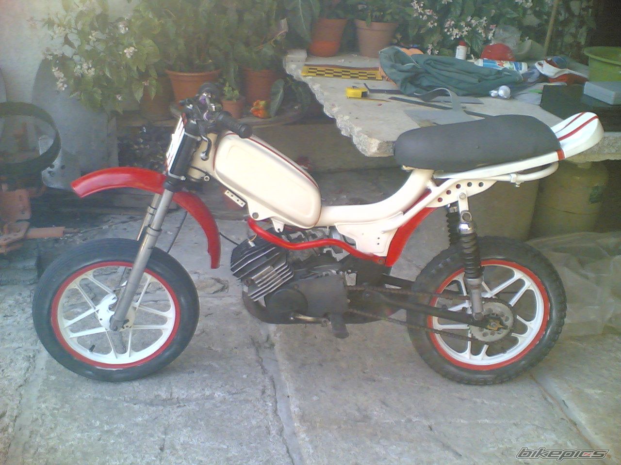 Photo 1006787