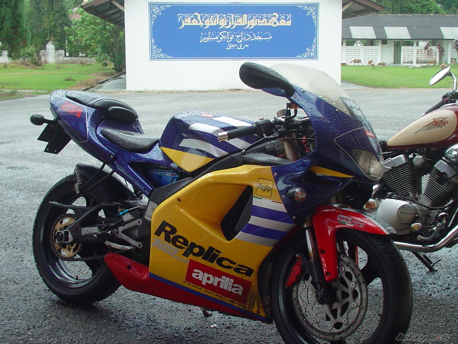 Bike Photo 1006792