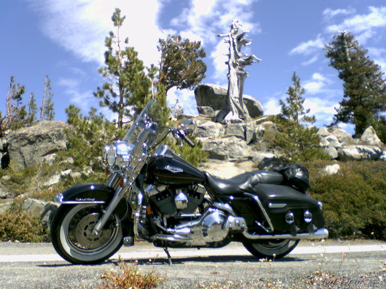Photo 1006840