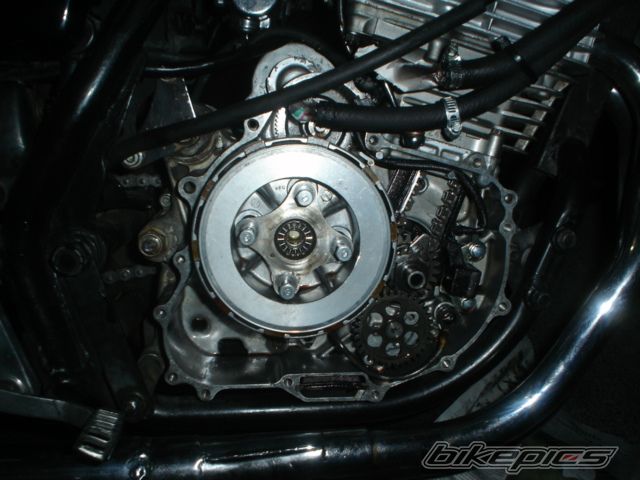 Photo 1006925