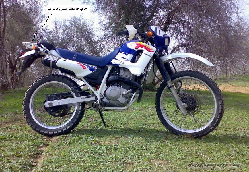 Bike Photo 1006961