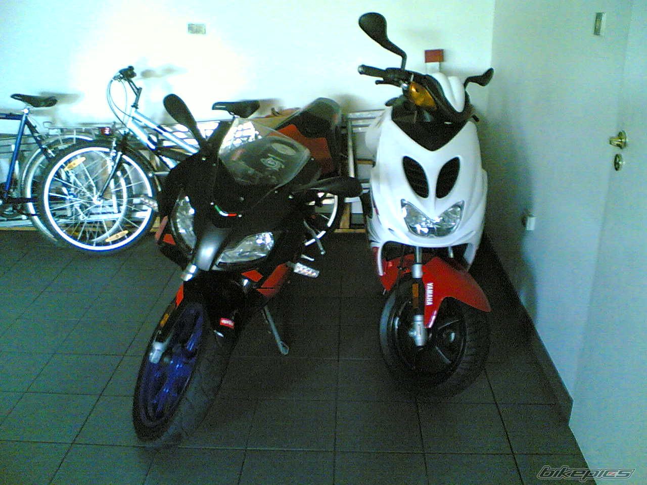 Photo 1007017