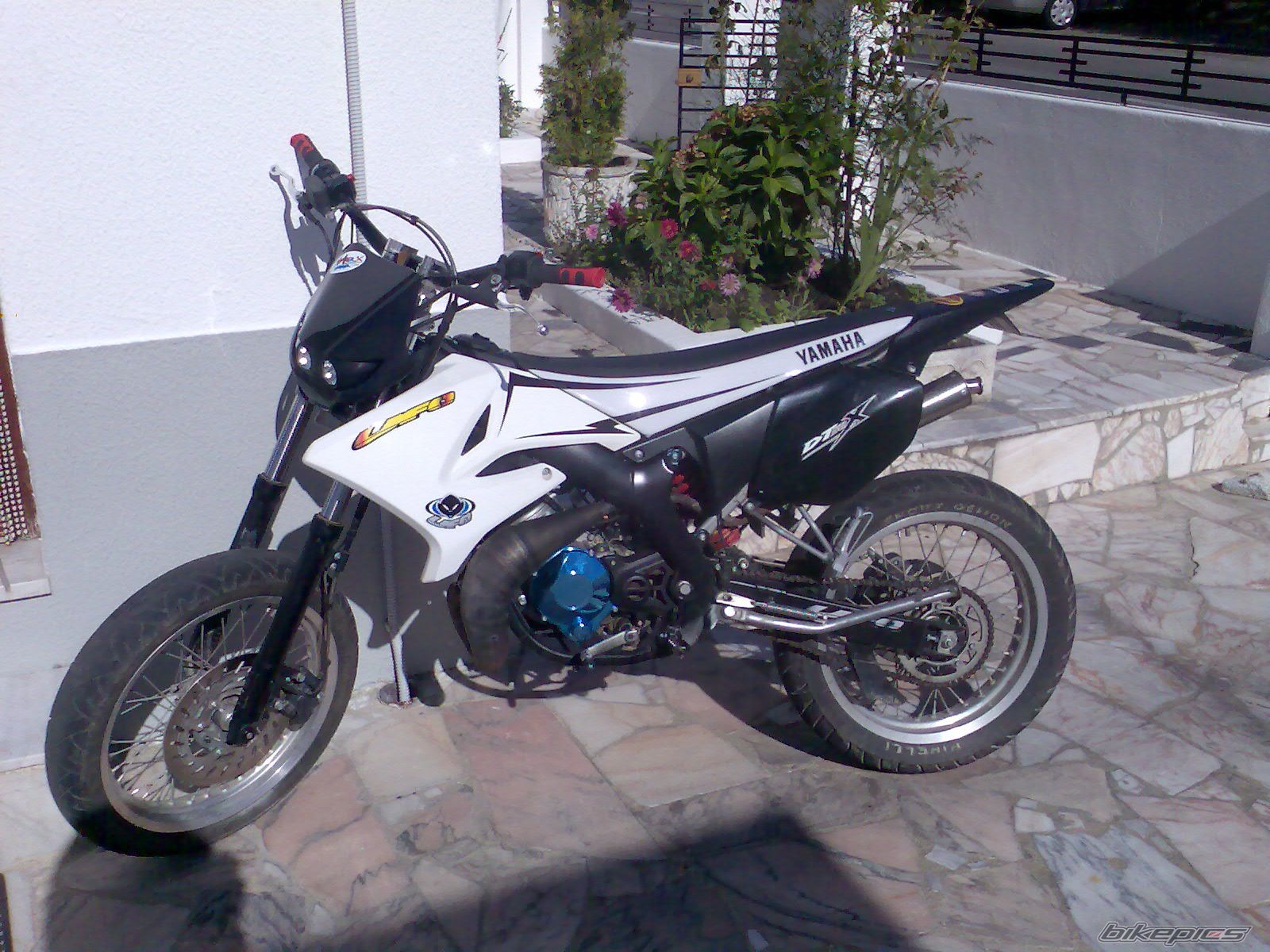 Photo 1007033