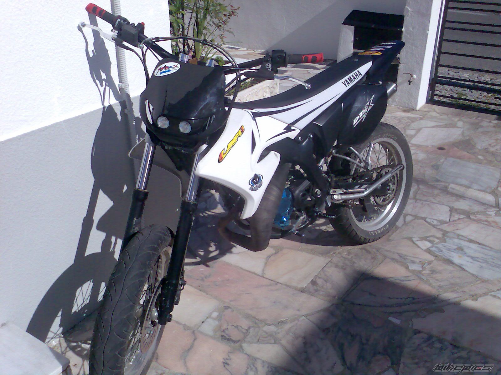 Photo 1007037