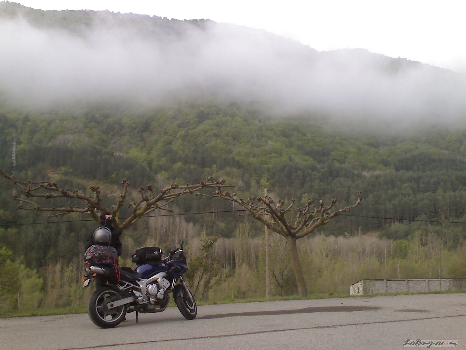 Photo 1007215