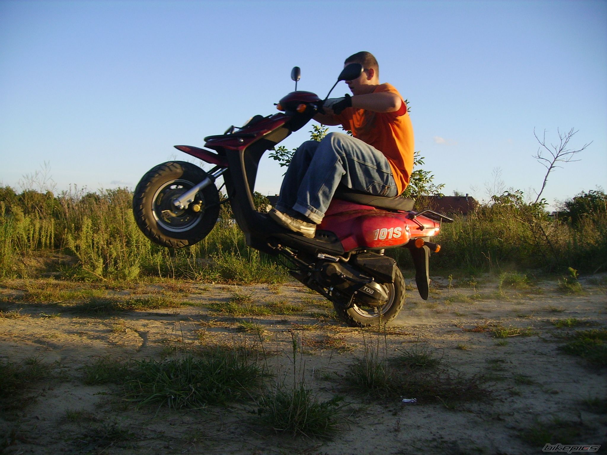 Photo 1007230