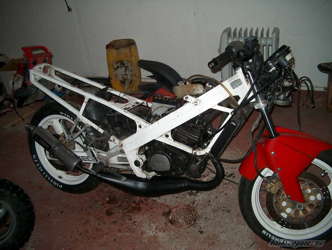 Photo 100724