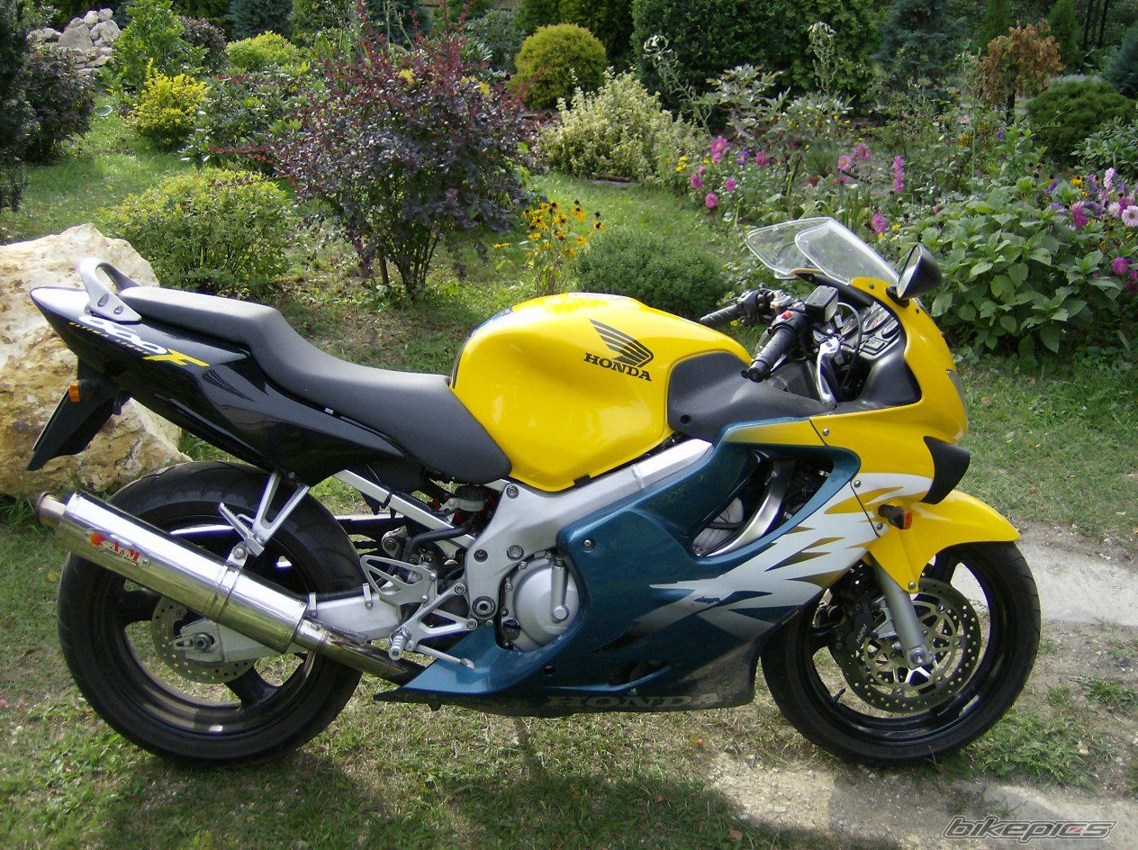 Photo 1007265