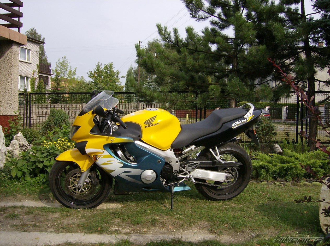 Photo 1007266