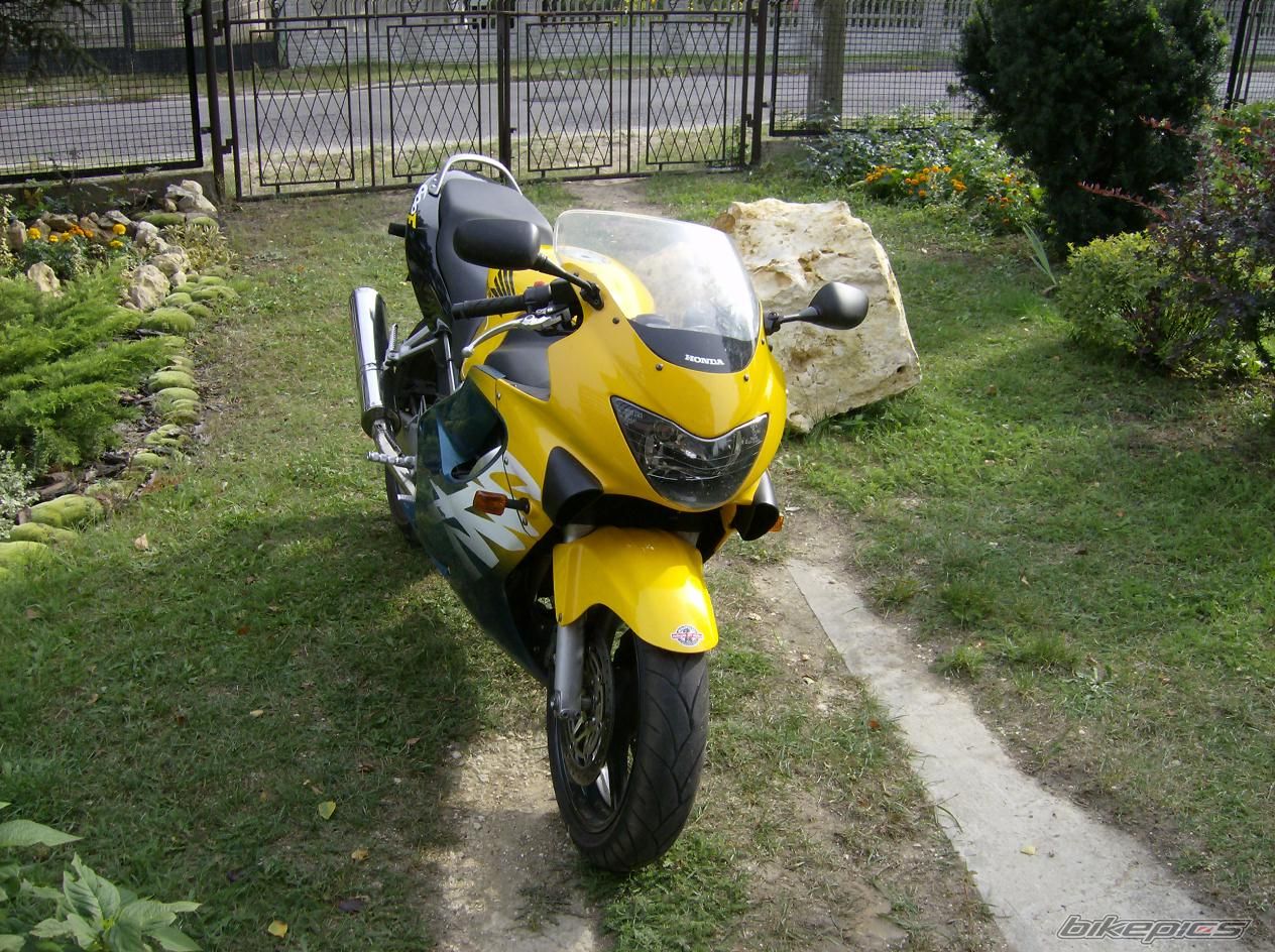Photo 1007268