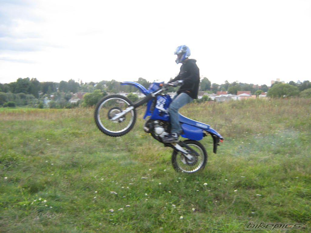 Photo 1007289