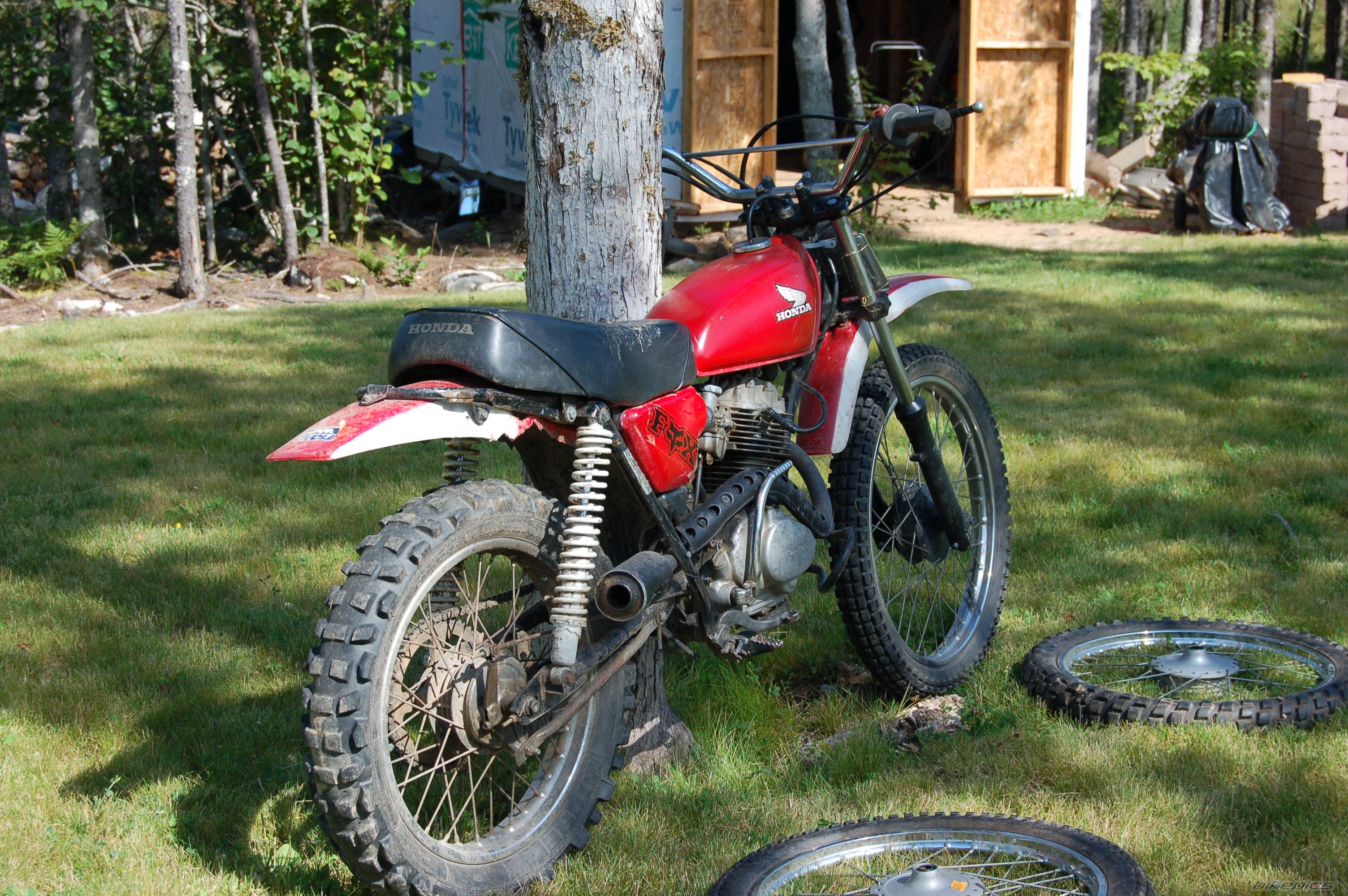 Photo 1007301