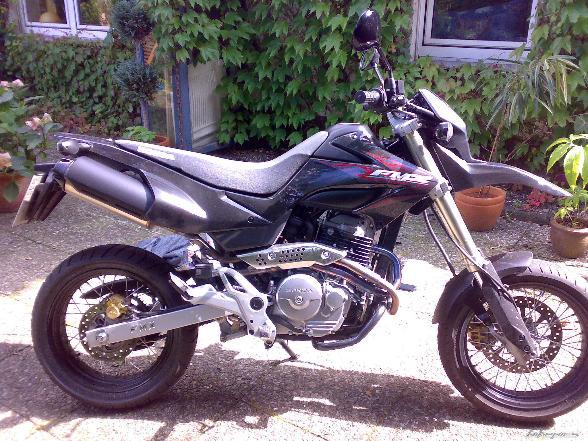 Photo 1007343