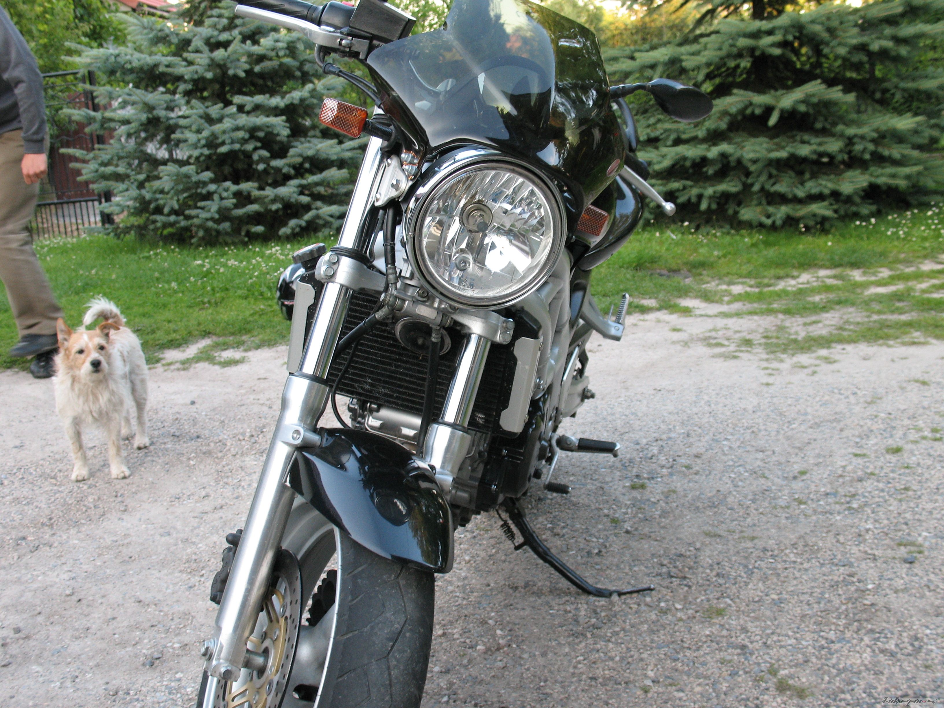 Photo 1007346