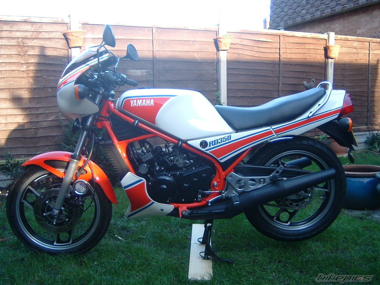 Photo 1007384