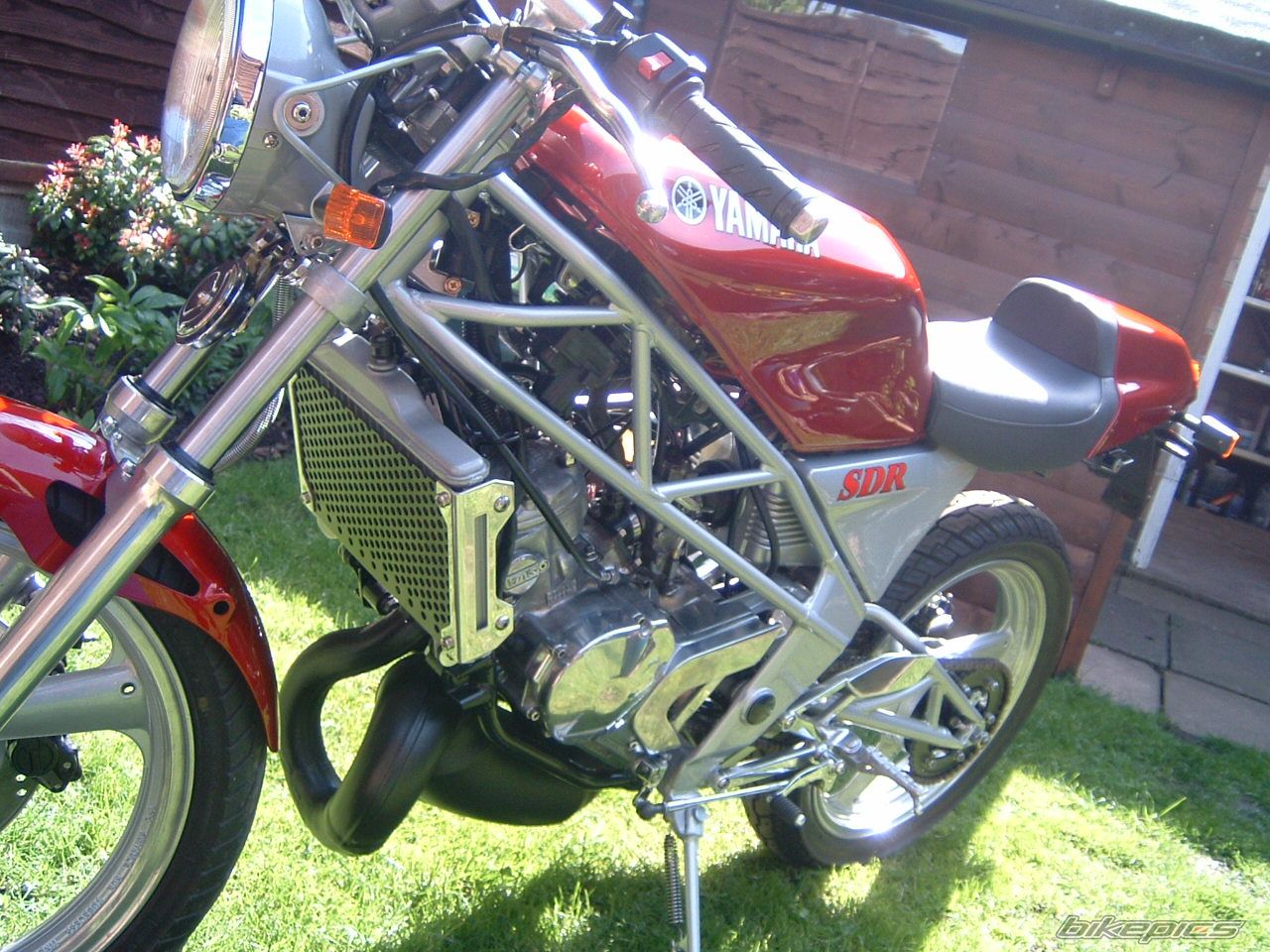 Photo 1007396