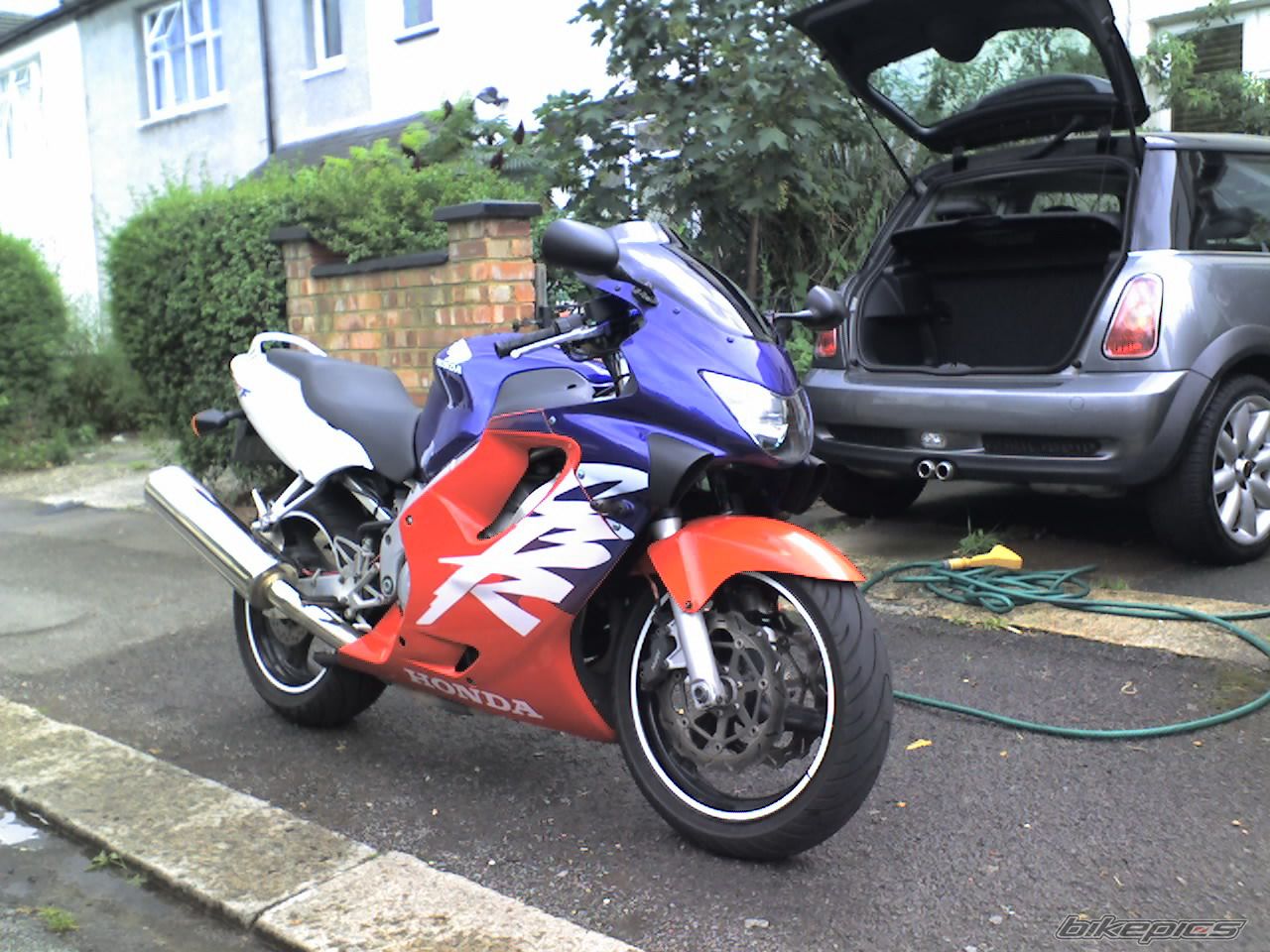Photo 1007448
