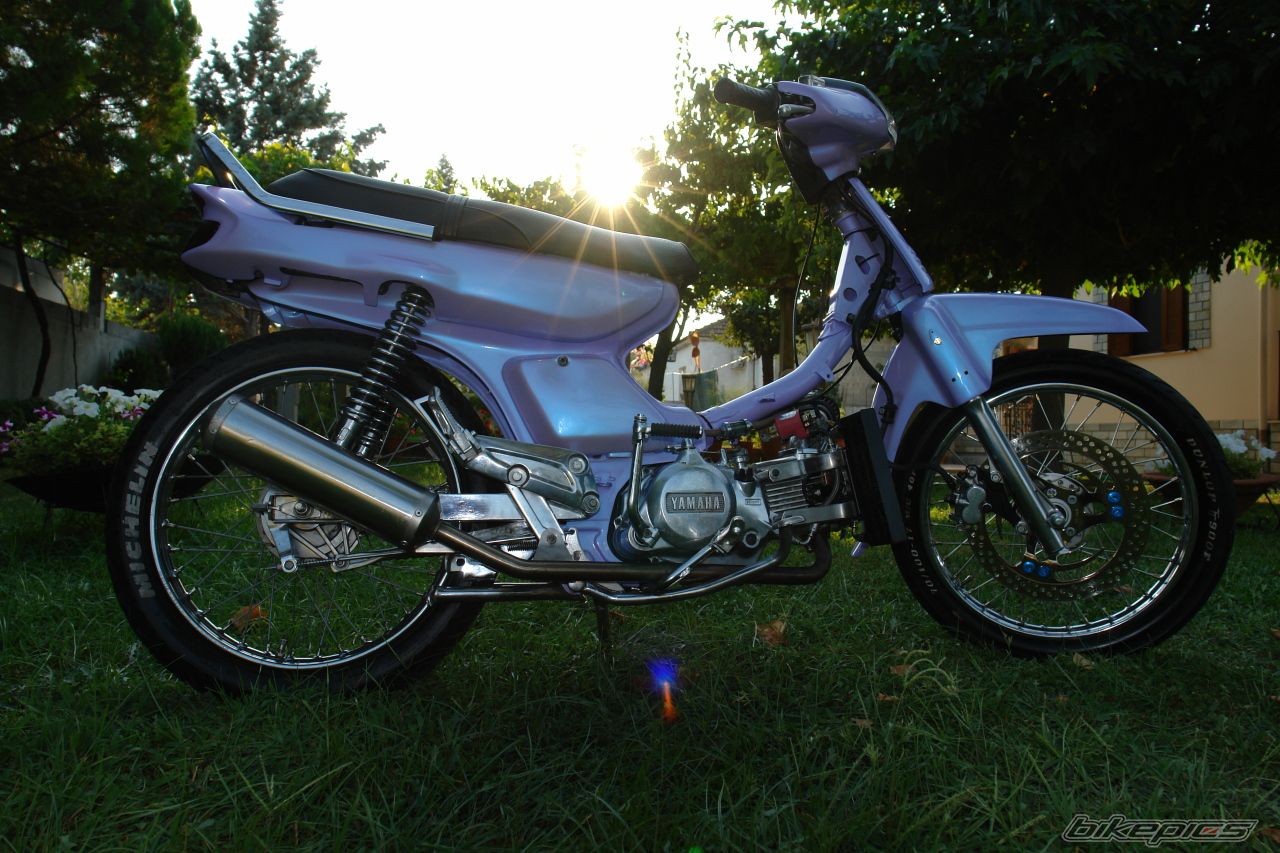 Photo 1007455
