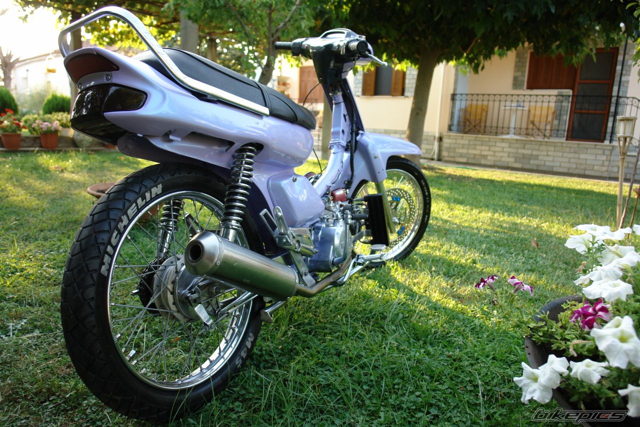Photo 1007456