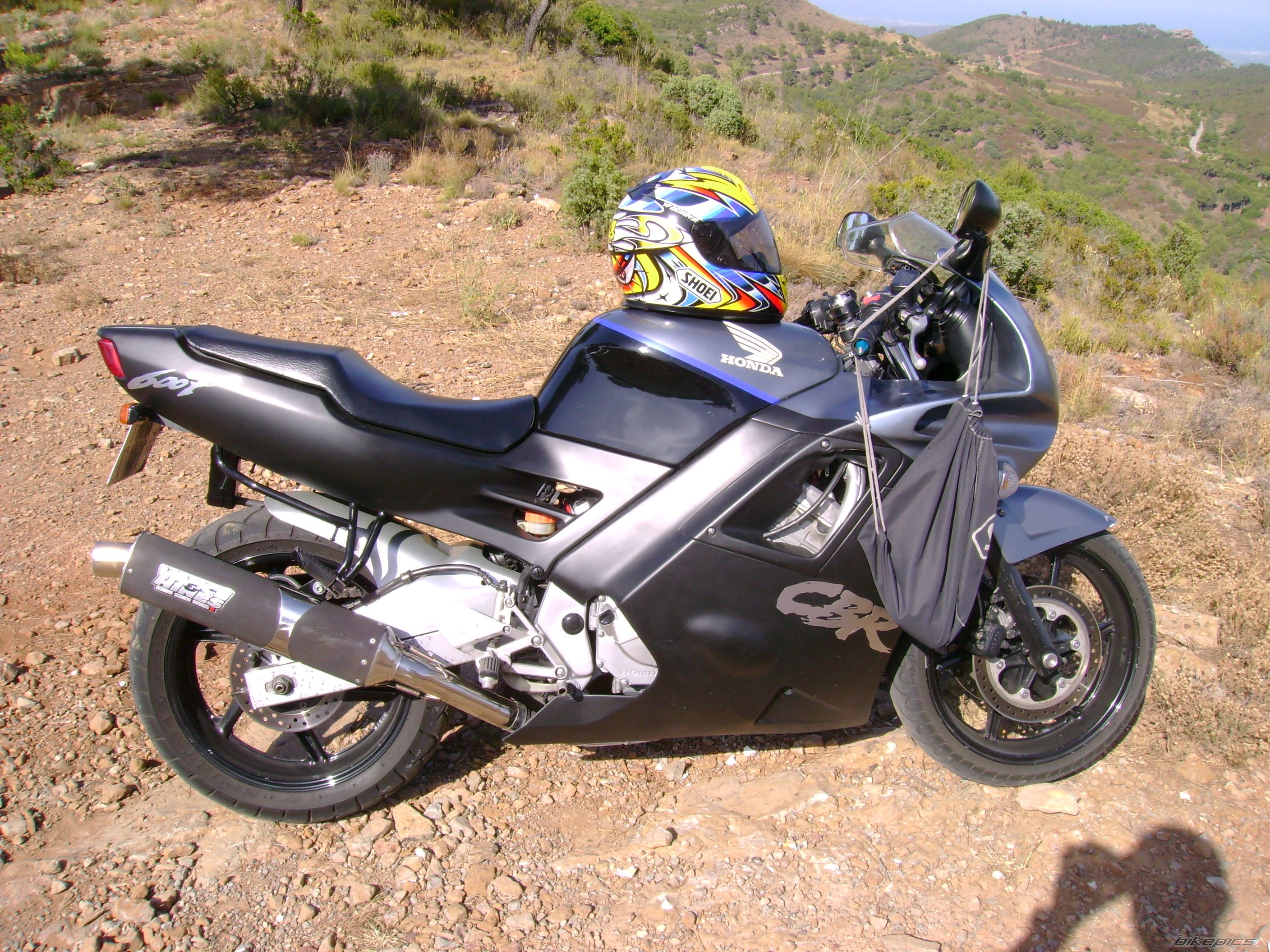 Photo 1007491