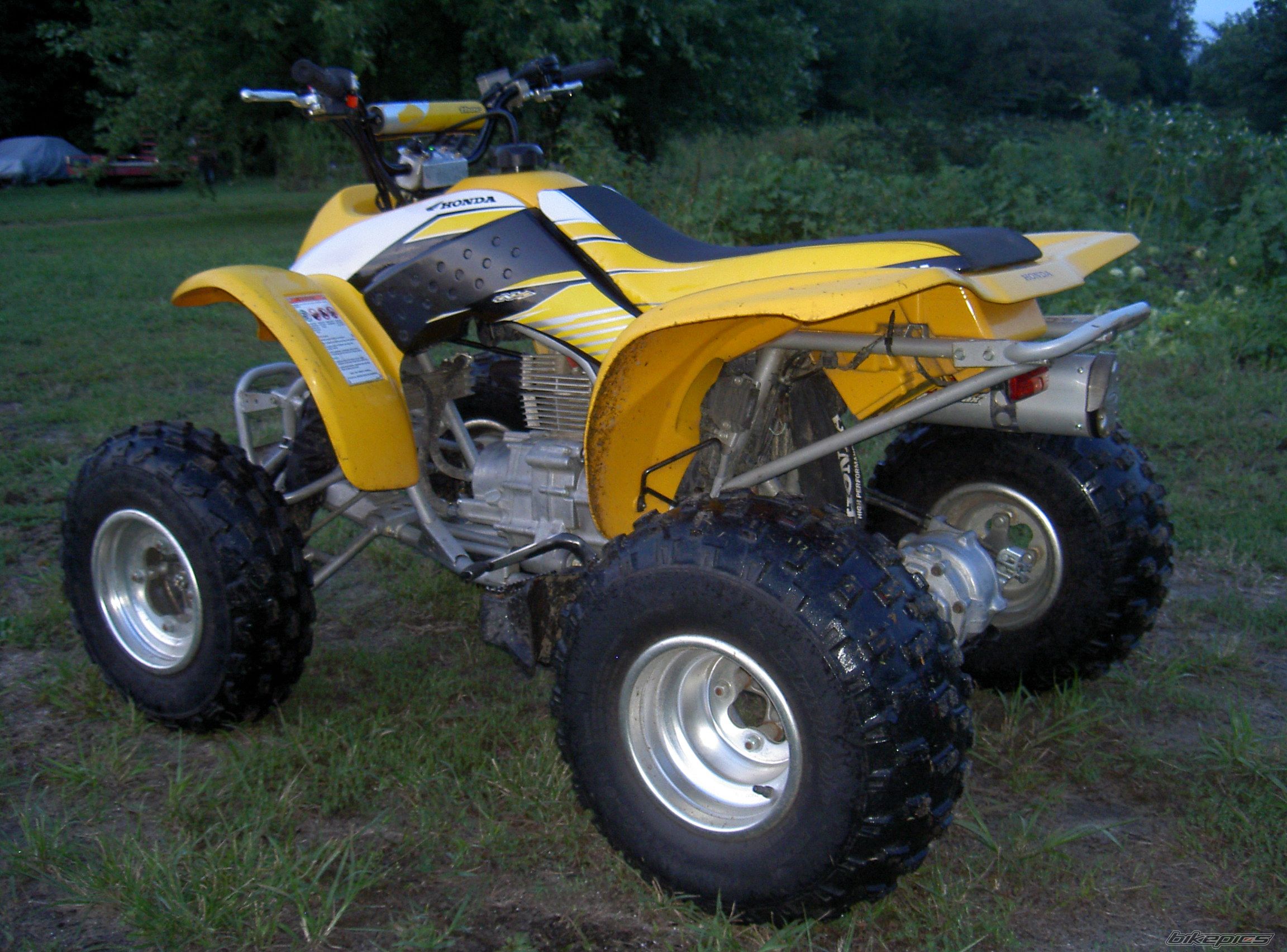 Photo 1007493