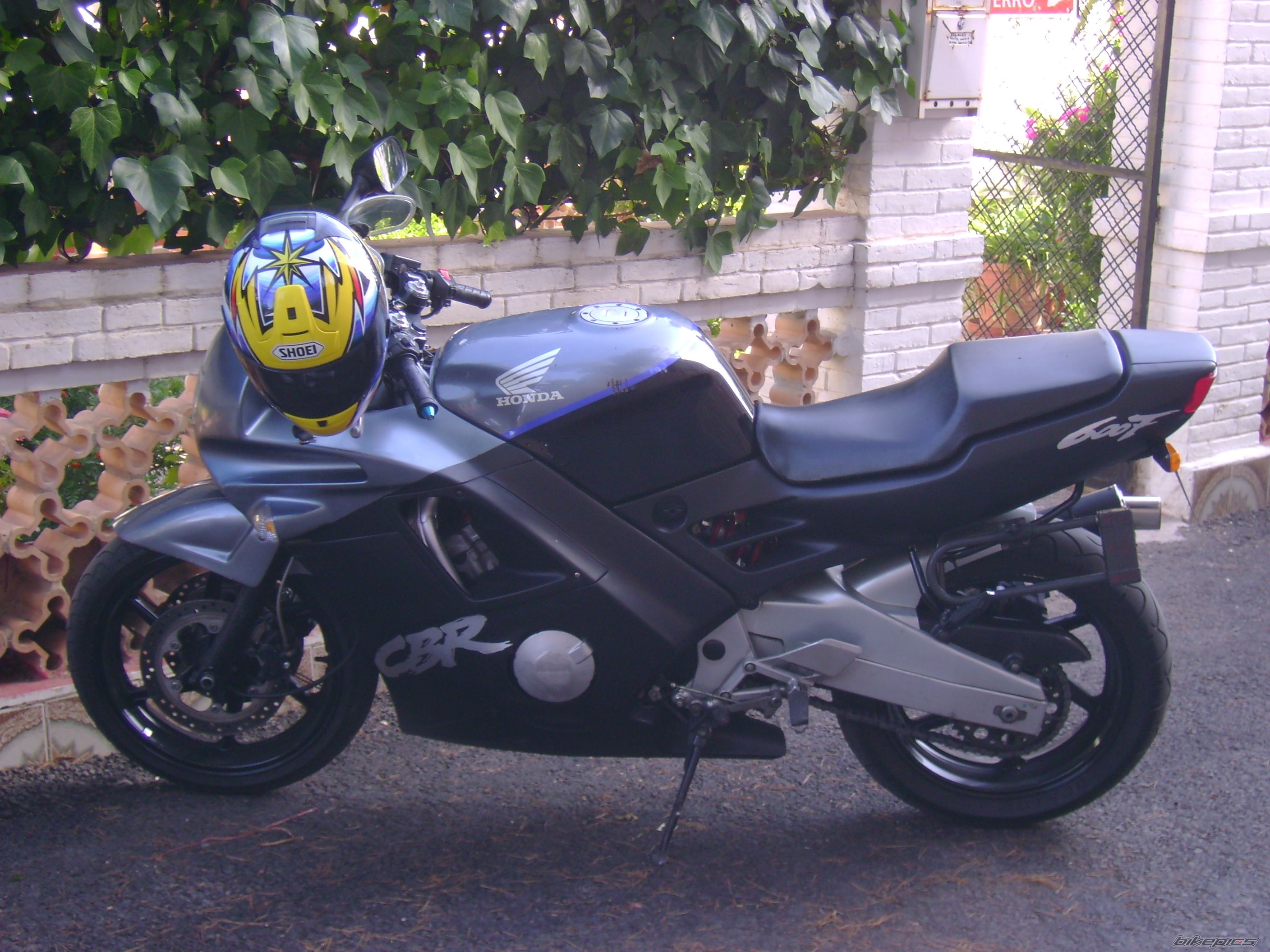 Photo 1007494
