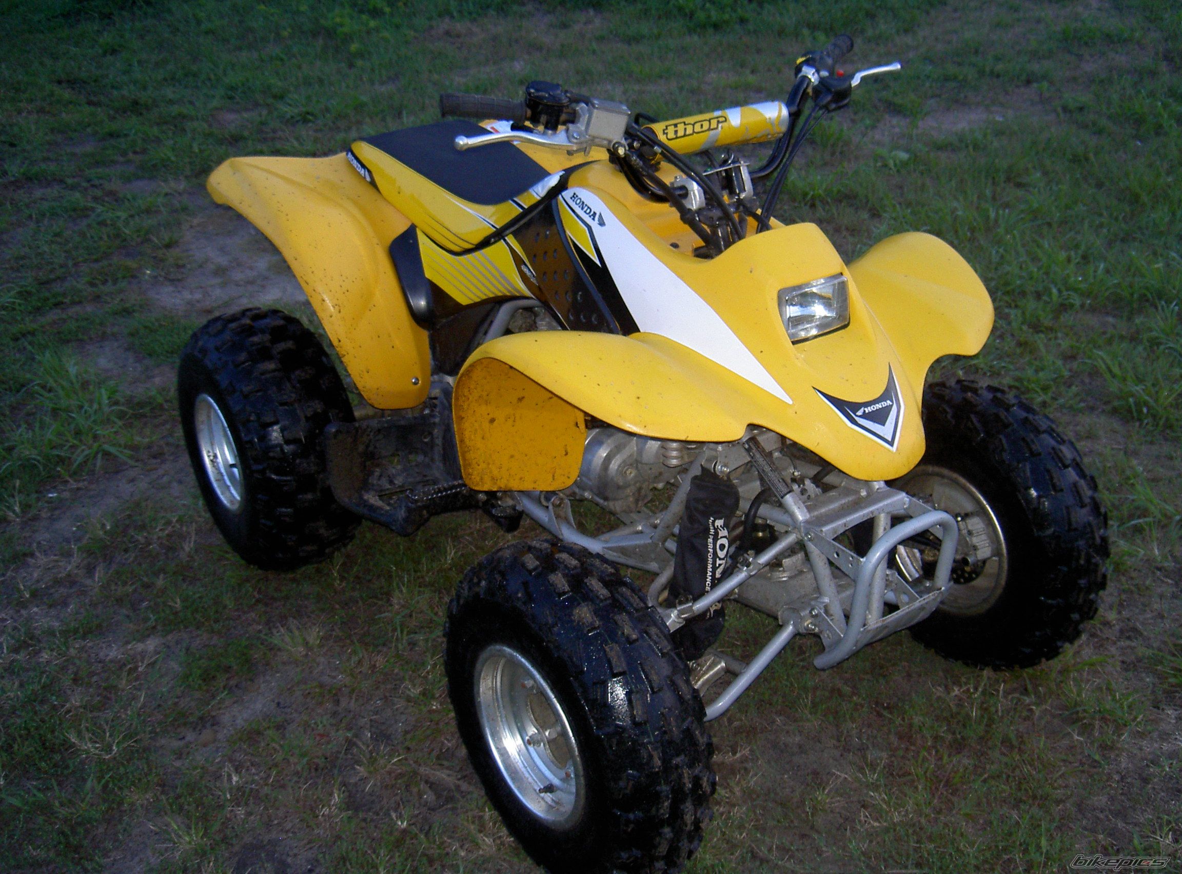 Photo 1007495
