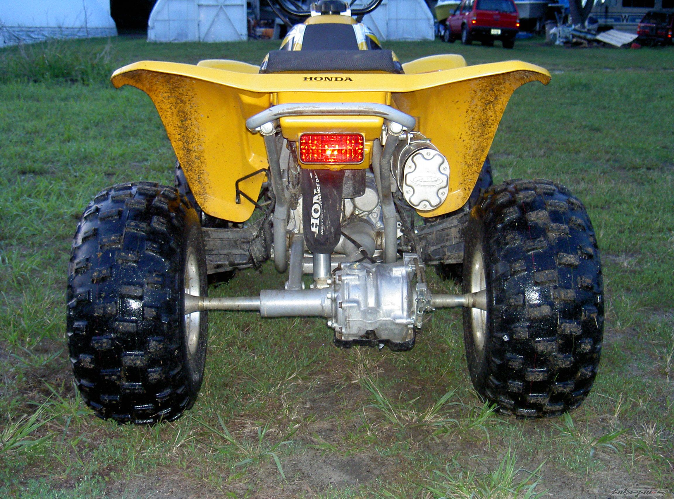 Photo 1007515