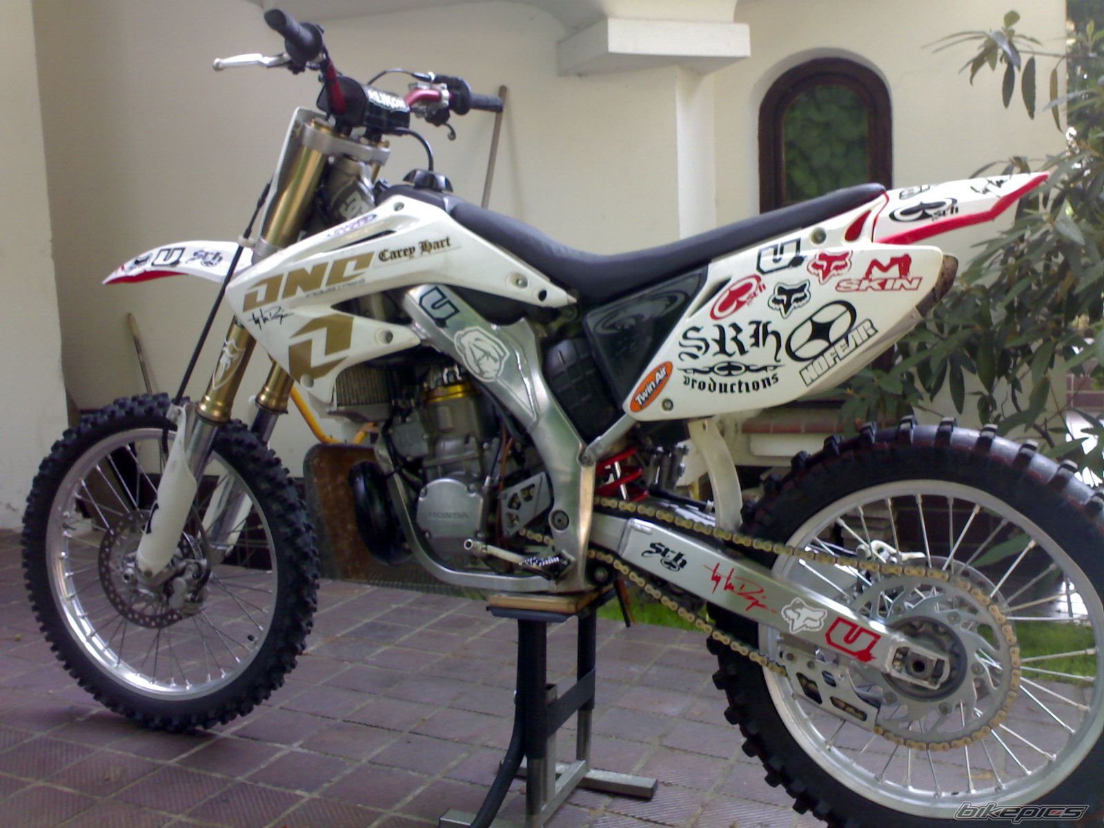 Photo 1007544