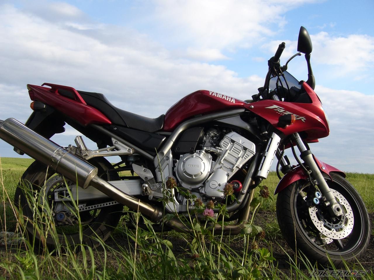 Photo 1007552