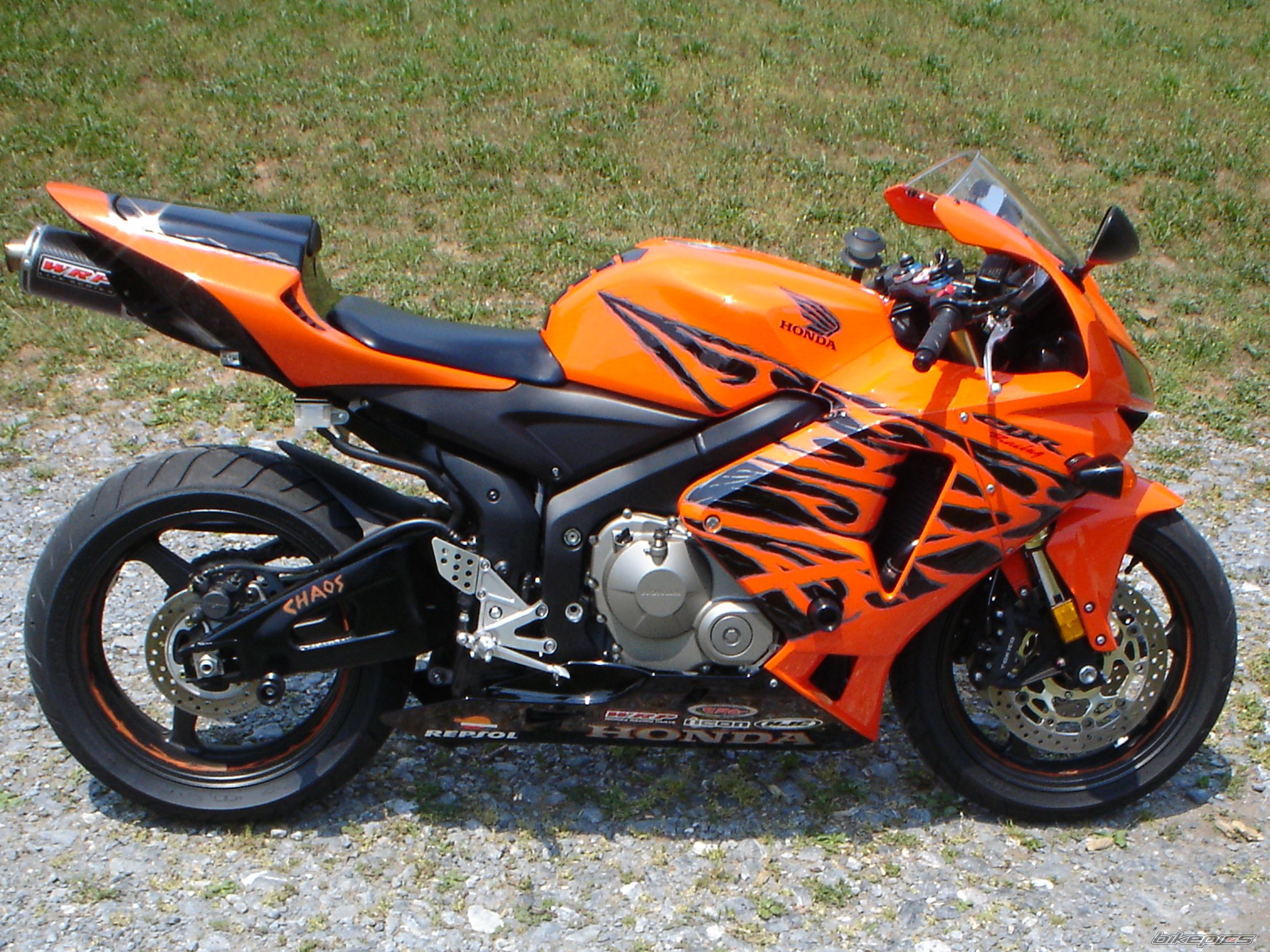 Photo 1007569