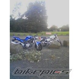 Photo 1007580
