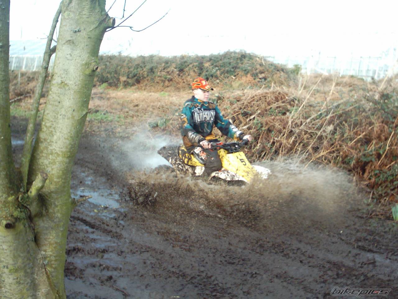 Photo 100762