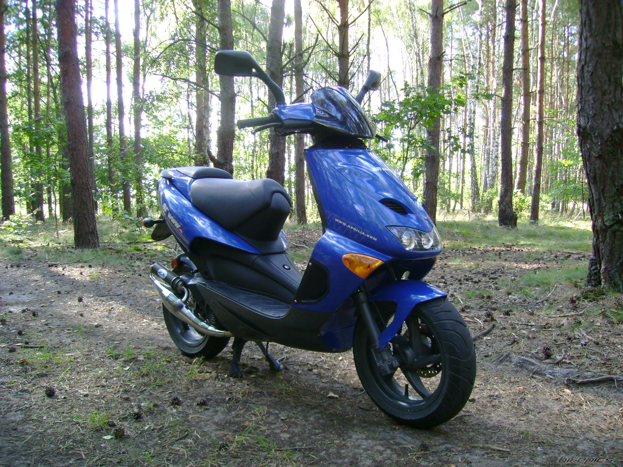 Photo 1007624