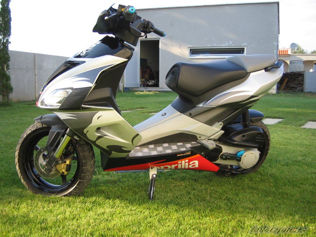 Photo 1007638
