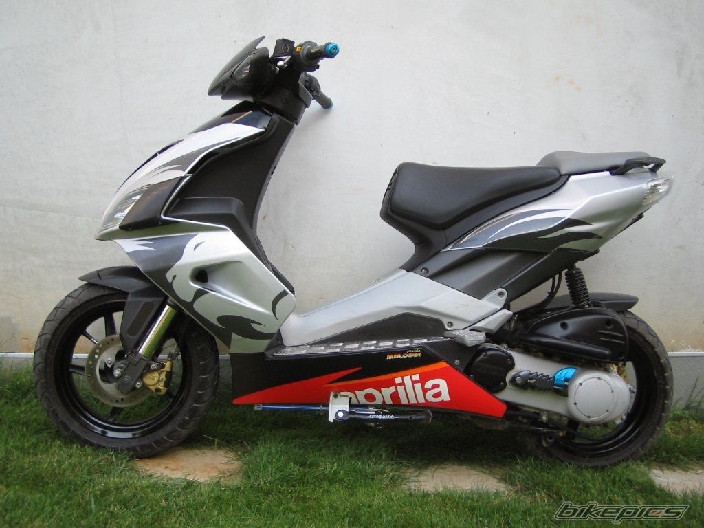 Photo 1007639