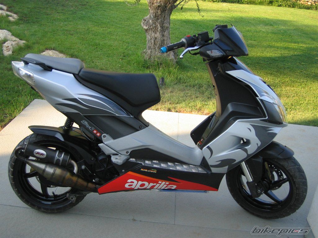Photo 1007640