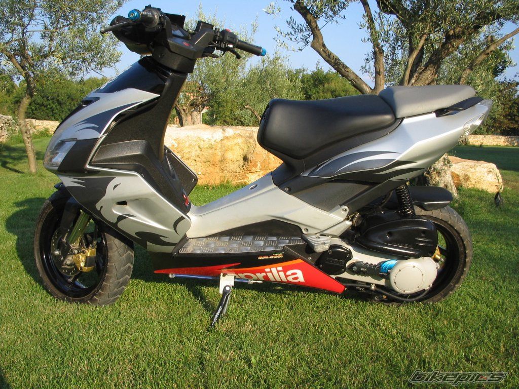 Photo 1007642