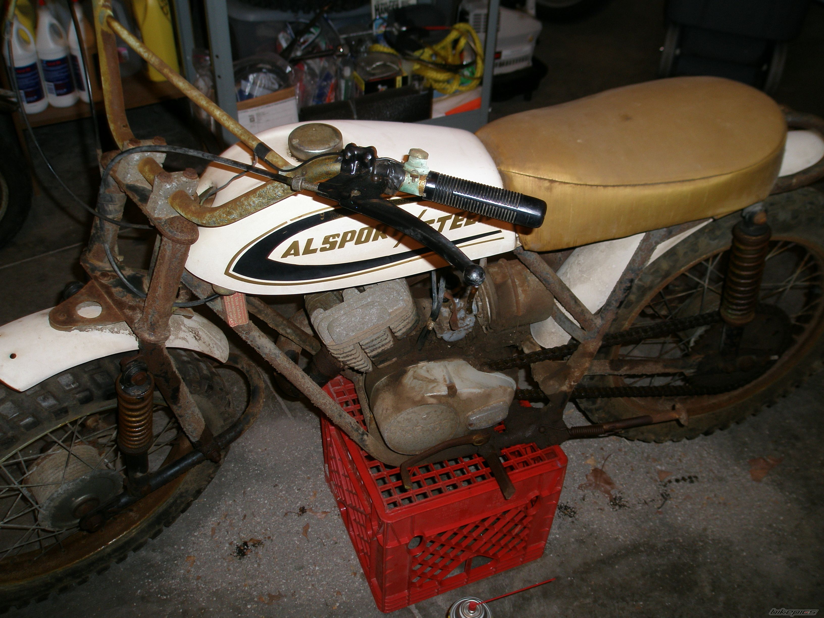 Photo 1007682