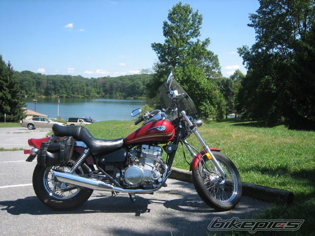 Photo 1007719