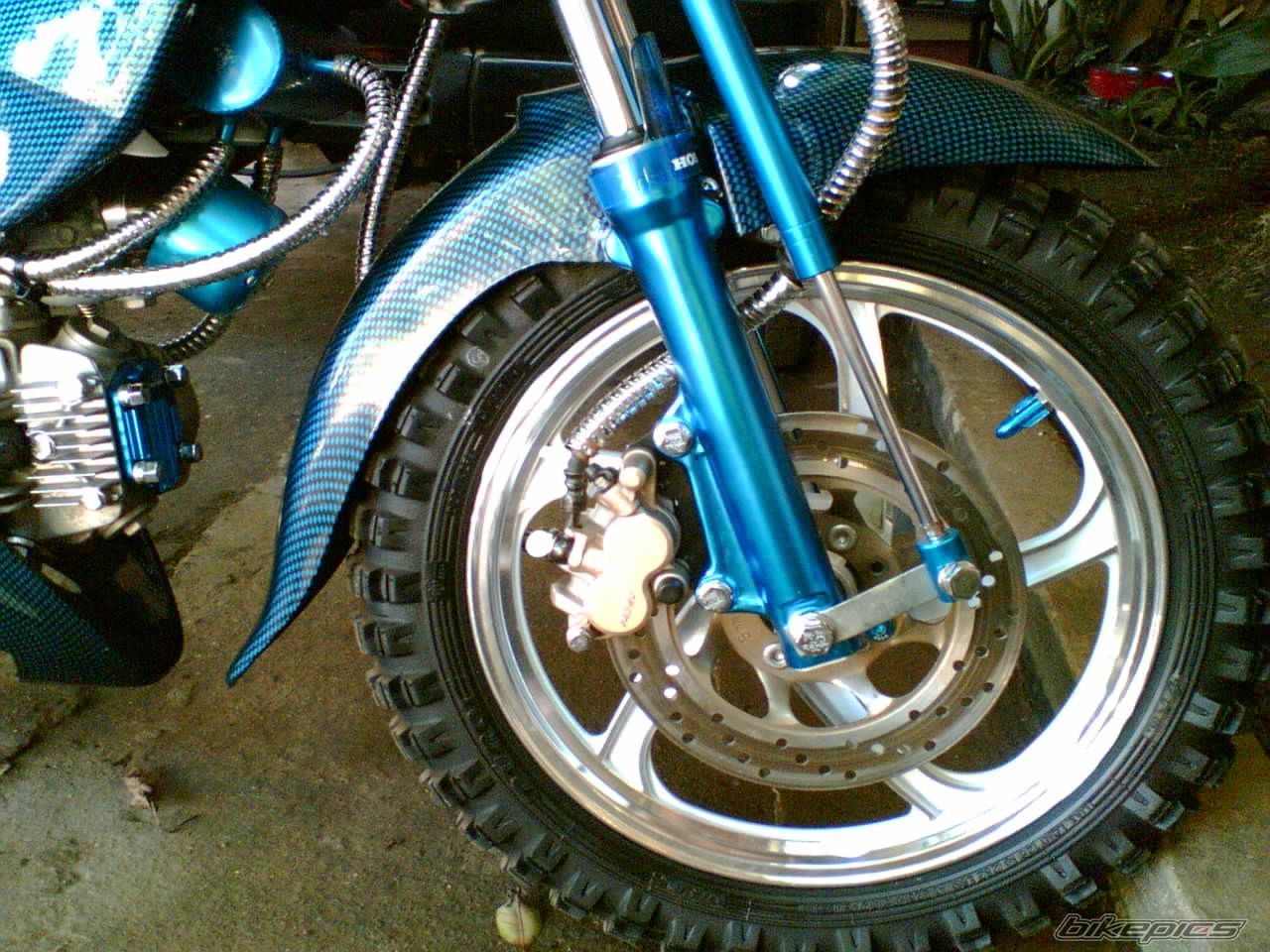 Photo 1007775