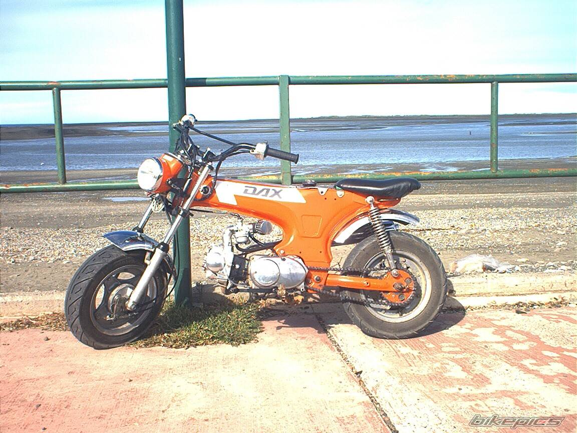 Photo 100779