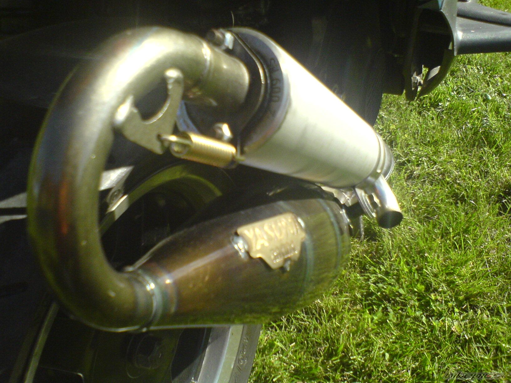 Photo 1007794