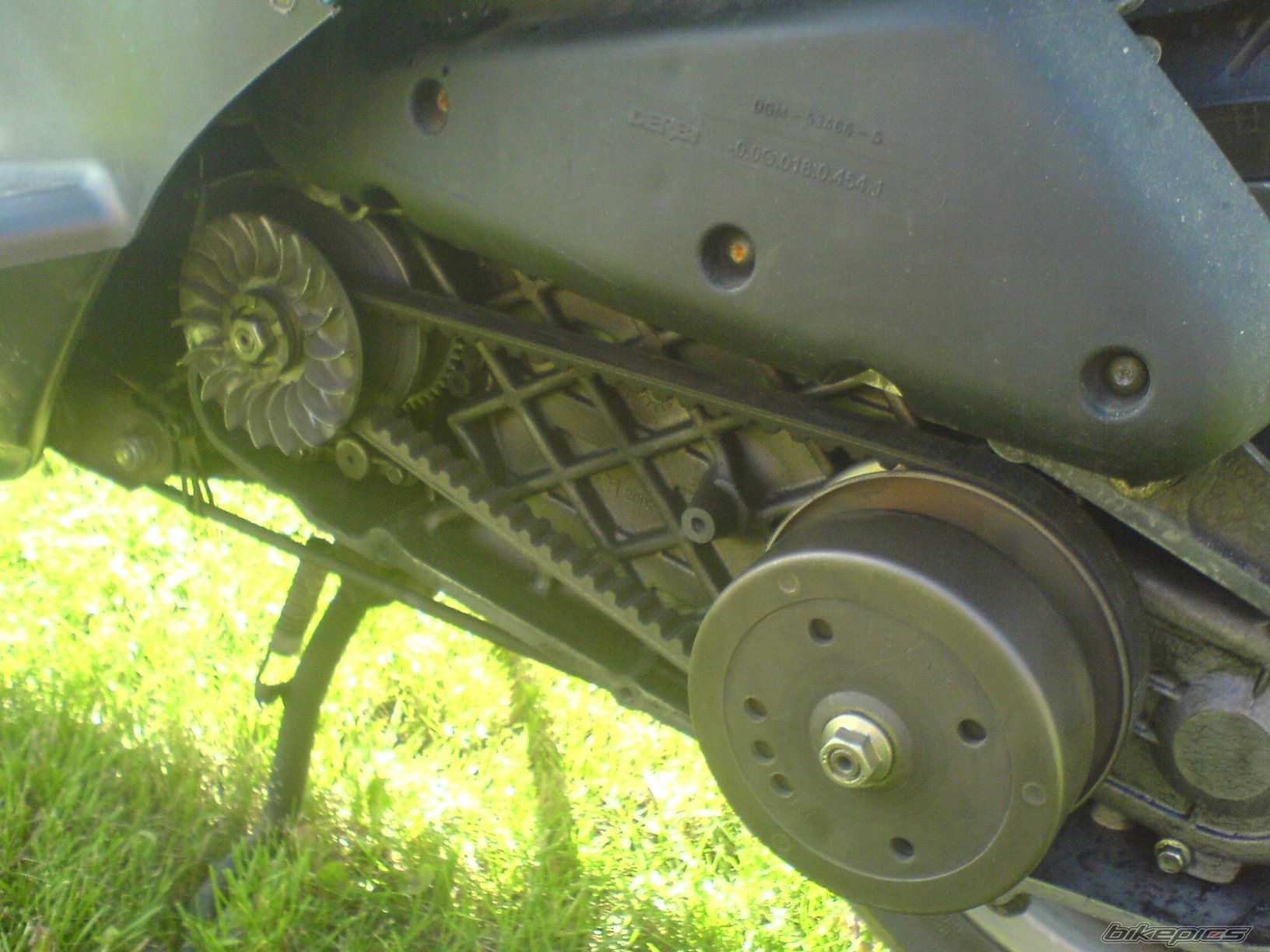 Photo 1007796