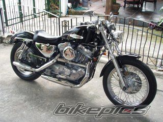 Photo 1007830