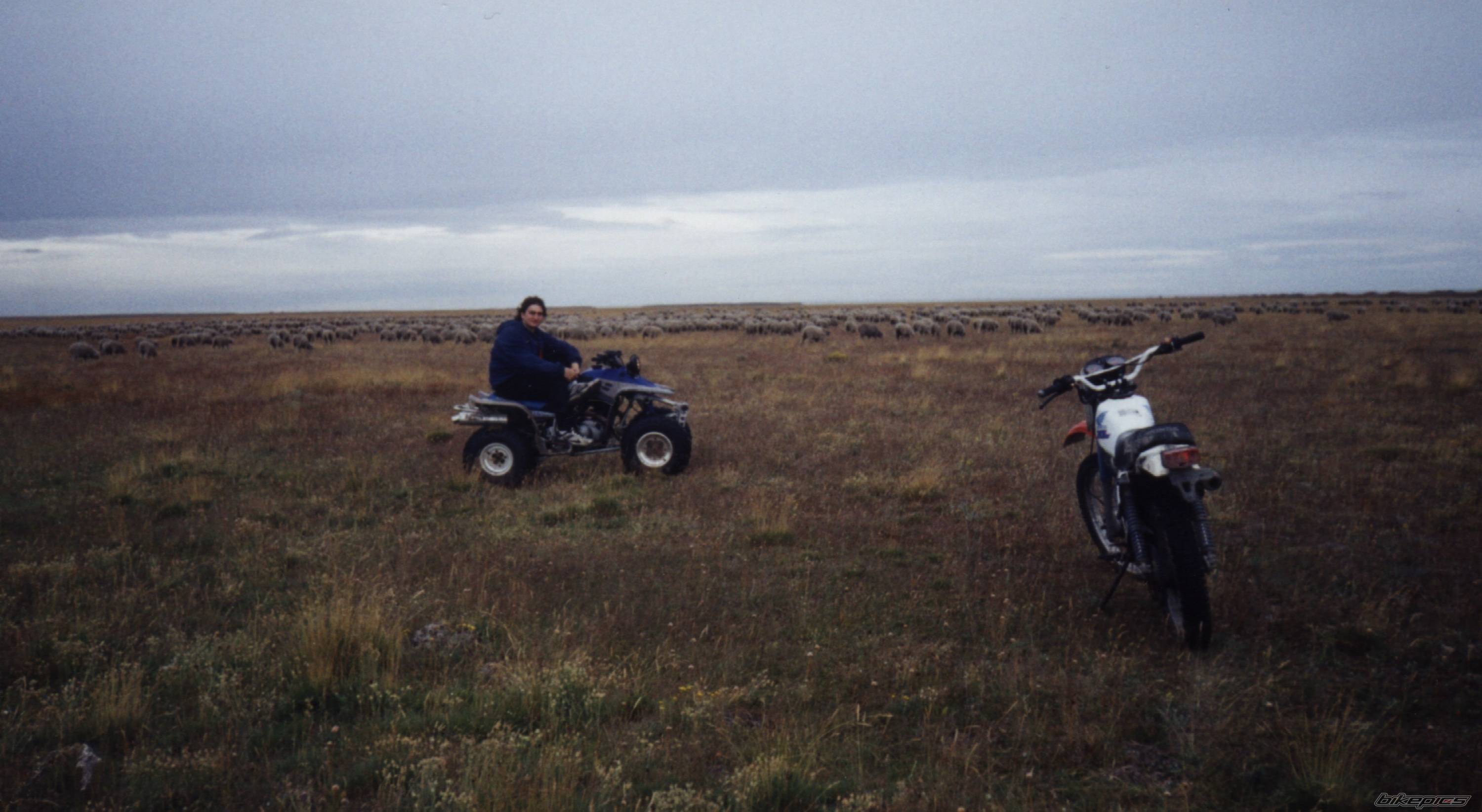 Bike Photo 100785