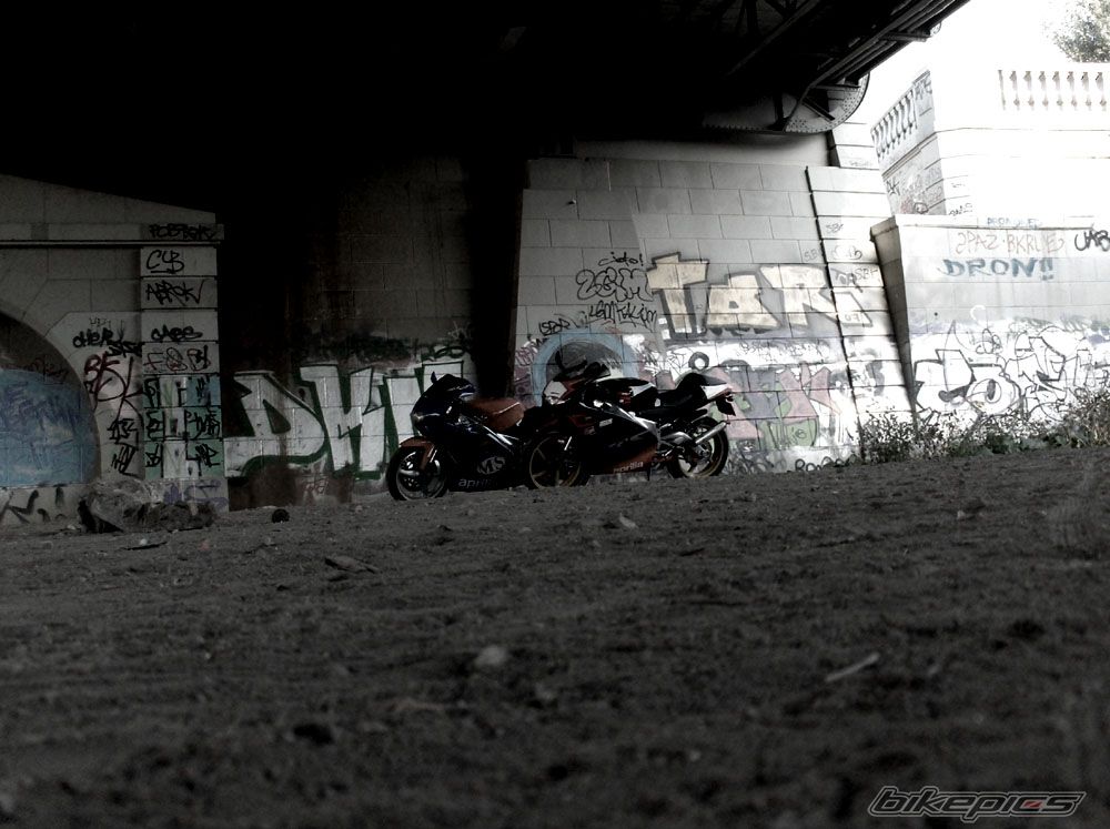 Photo 1007984