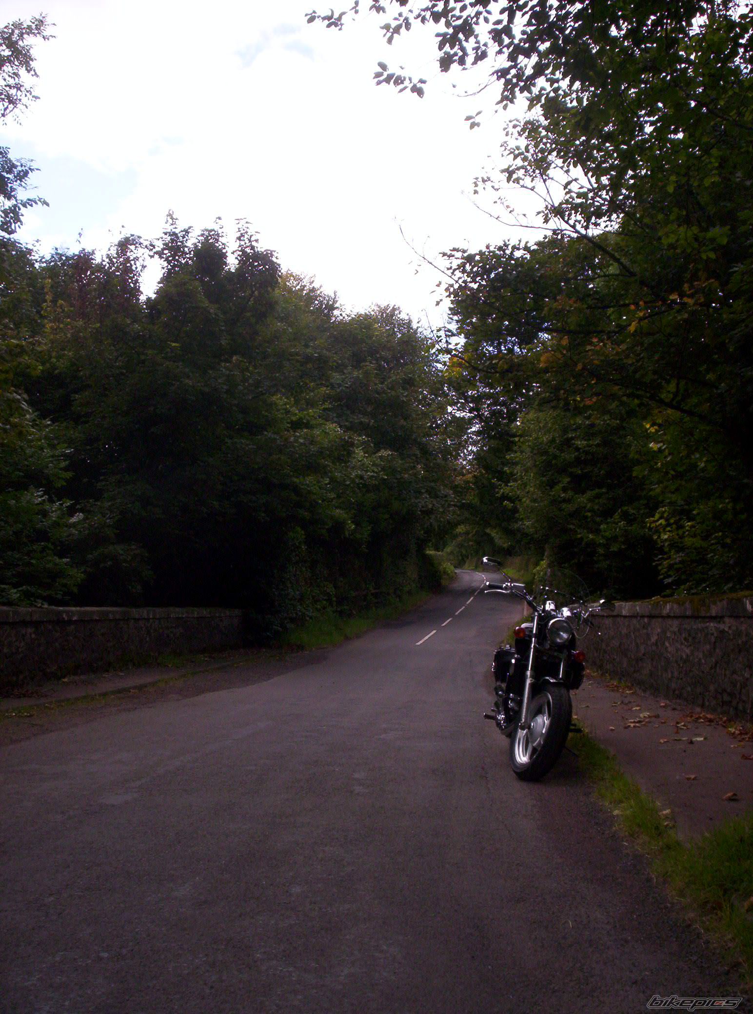 Bike Photo 1007991